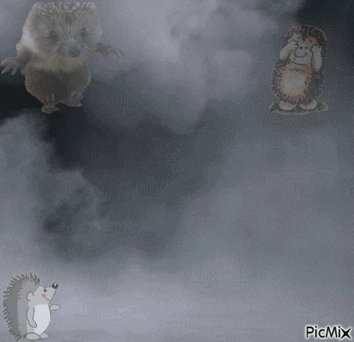 ёжики в тумане - Animovaný GIF zadarmo