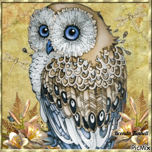 owl - 無料png