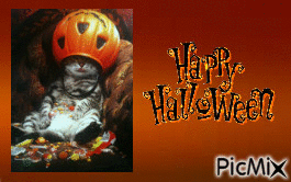 Halloween 2 - Besplatni animirani GIF