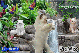 Les chats font la fête - Ücretsiz animasyonlu GIF