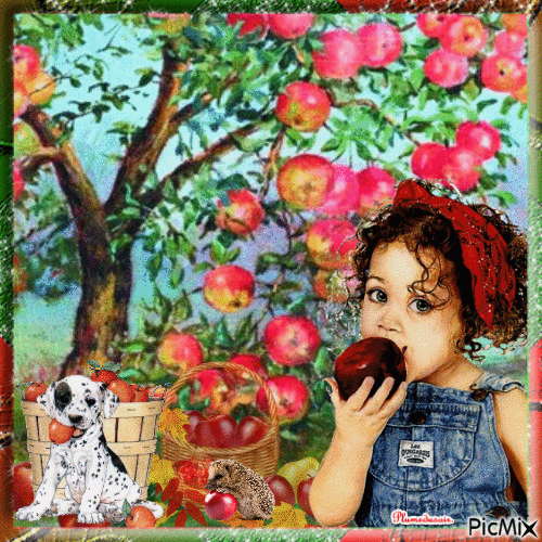 Cueillette de pommes. - GIF animado grátis
