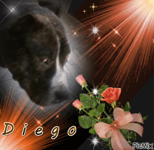Diego - Darmowy animowany GIF
