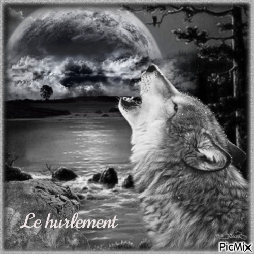 Le loup hurlant. - 免费PNG