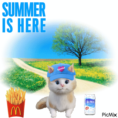 Summer Is Here Bask In The Sunshine - Darmowy animowany GIF
