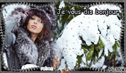Je vous dis bonjour - Free animated GIF