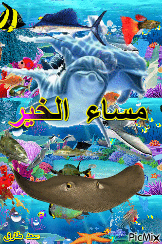 مساء النور - Бесплатный анимированный гифка