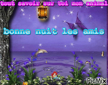 bonne nuit - Bezmaksas animēts GIF