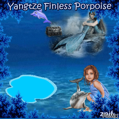Yangtze finless porpoise - Gratis animerad GIF