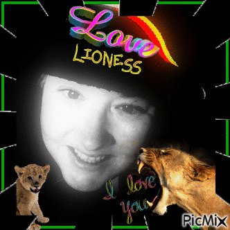 Lioness love - GIF animasi gratis