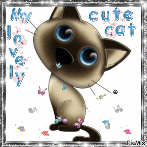 my lovley cat - 免费动画 GIF