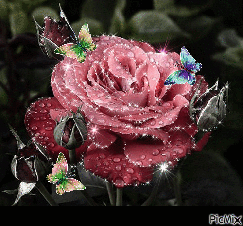 Blumen - Ingyenes animált GIF