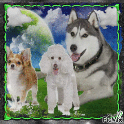 My dogs - Ingyenes animált GIF