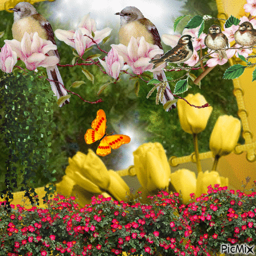 Remplie d'oiseaux - Darmowy animowany GIF