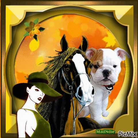 le cheval et le chien - GIF animasi gratis