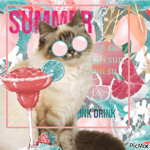 summer cat - Δωρεάν κινούμενο GIF