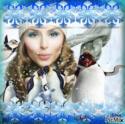 Pinguim - Ingyenes animált GIF
