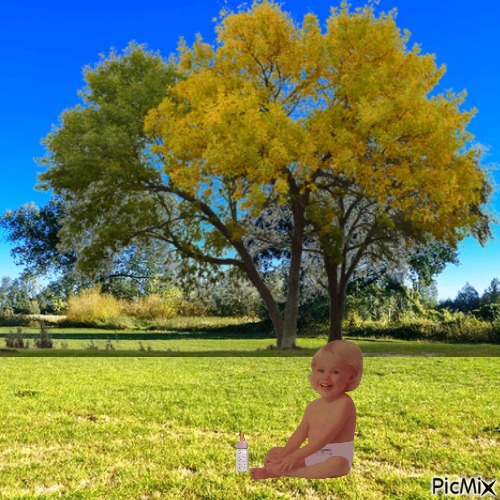 Baby in Spring - png gratuito