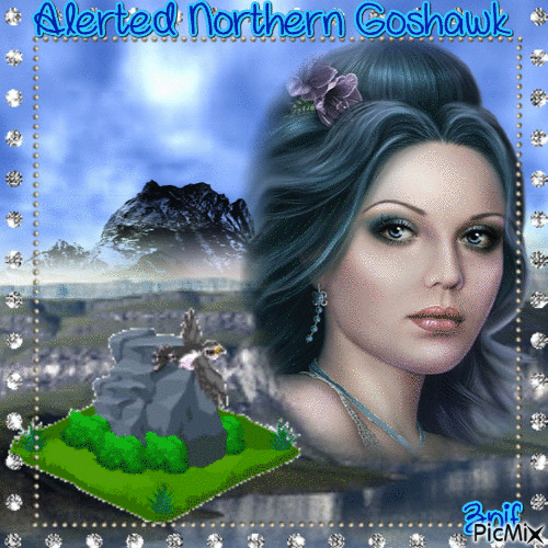 Alerted Northern Goshawk - Безплатен анимиран GIF
