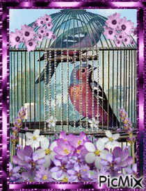 Bird Cage With Purple Flowers! - GIF animado gratis