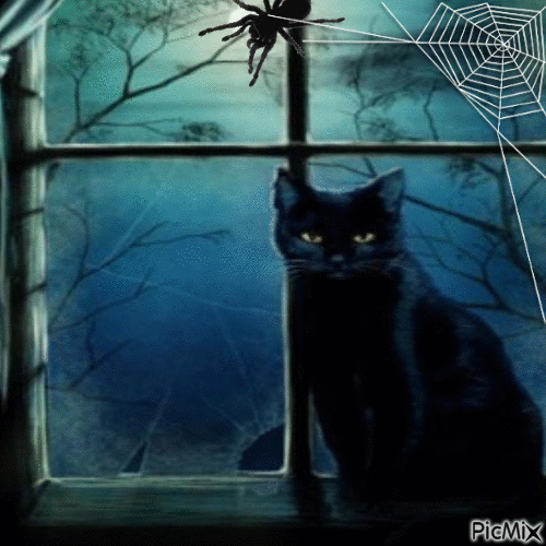 Un chat noir de vent une fenêtre - Gratis animeret GIF