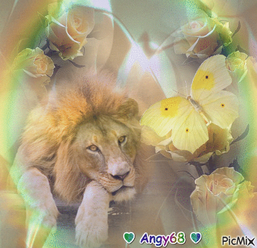 leone con rose - Zdarma animovaný GIF