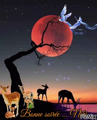 Bonne soirée " lune " - Безплатен анимиран GIF