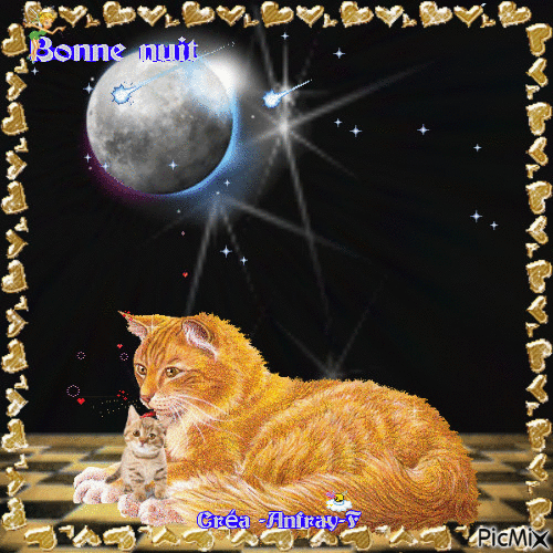 Bonne nuit-Chat et chaton - Darmowy animowany GIF
