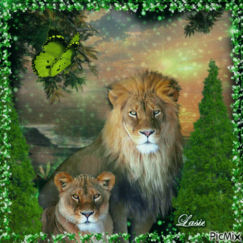 Les Lions ♥♥♥ - GIF animado grátis