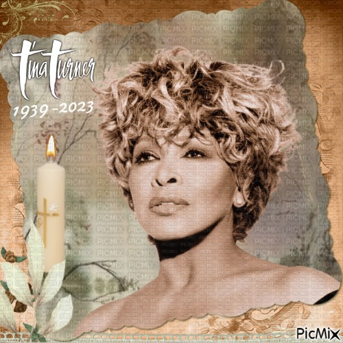 Tina Turner. - gratis png