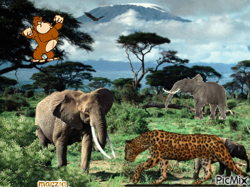 la mia Africa - GIF animado gratis