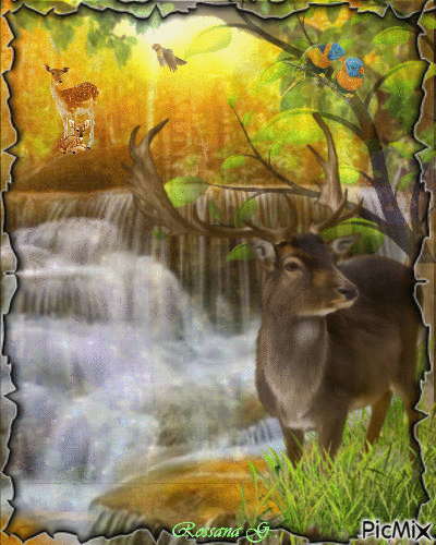 Le cerf et la cascade - 無料のアニメーション GIF