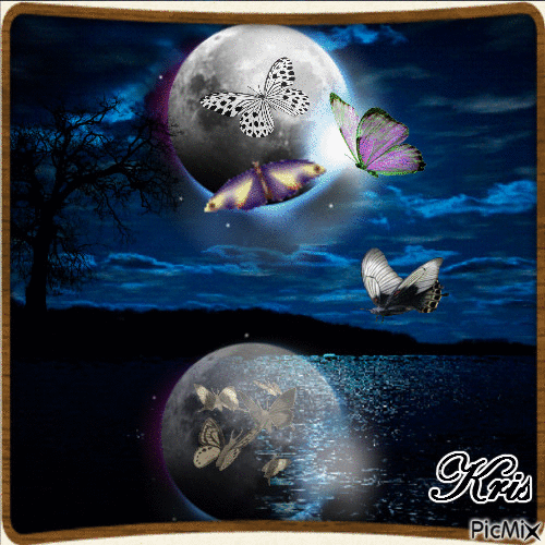 Moths in the Moonlight - Bezmaksas animēts GIF