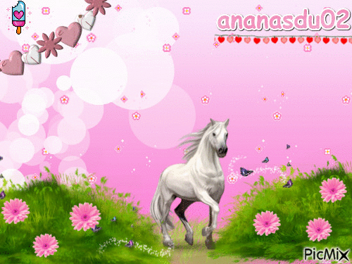 ananasdu02 - Gratis animerad GIF