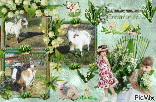très bon 1er mai avec mes chèvres - Animovaný GIF zadarmo