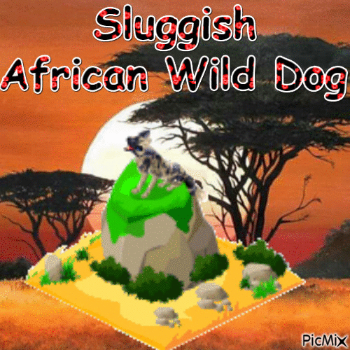 Sluggish African Wild Dog - Free animated GIF