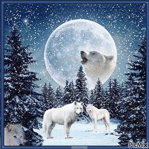 Winter Landscape with Wolves - GIF animé gratuit