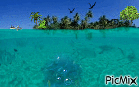 yunus balıkları - Gratis animeret GIF