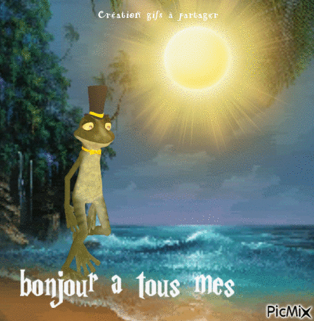 Bonjour les ami(e)s - 無料のアニメーション GIF