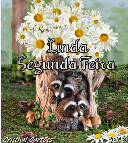 Linda Segunda - Feira! - 無料のアニメーション GIF