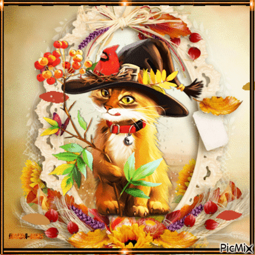 Autumn-fall-cat - Animovaný GIF zadarmo