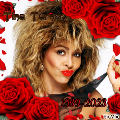 Tina Turner hommage - nemokama png