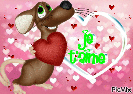 amour - GIF animate gratis