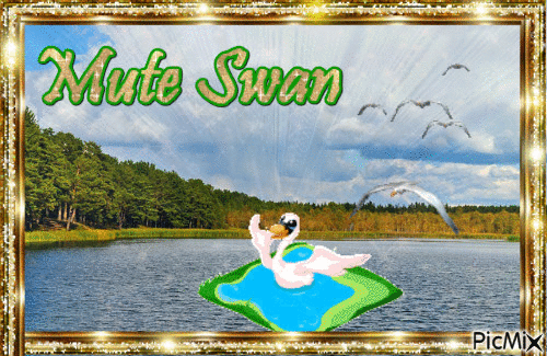 MUTE SWAN - GIF animado grátis