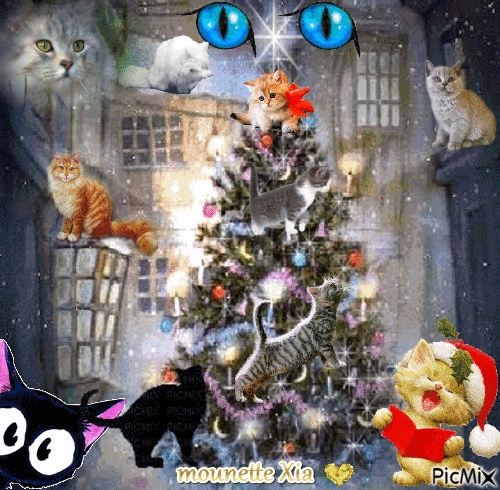 les chats de noël - Zdarma animovaný GIF