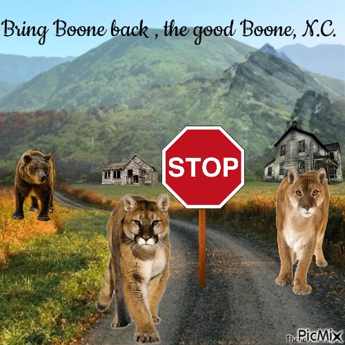 bring Boone back - png grátis