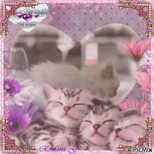 Douce nuit mes tendres chatons - Darmowy animowany GIF