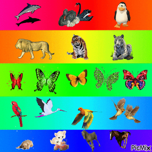 ANIMALES. - Безплатен анимиран GIF