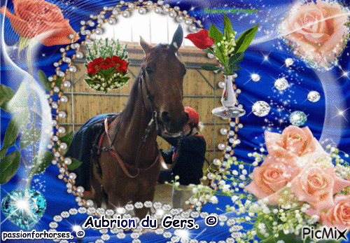 Le champion Aubrion du Gers. © - GIF animé gratuit