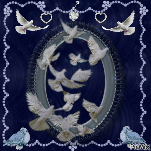 Doves In Flight - Besplatni animirani GIF