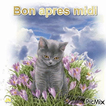 bon apres midi - Darmowy animowany GIF